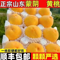正宗山东蒙阴黄金蜜大黄桃毛桃锦绣桃子应季新鲜水果