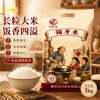 念川猫牙米晚籼米家庭装10斤商用家用丝苗米食堂餐厅5kg现磨现发炒饭 猫牙米-5kg/袋