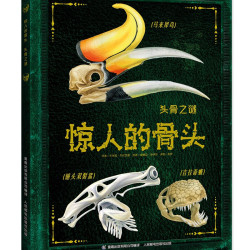 惊人的骨头 头骨之谜