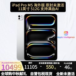Apple iPad Pro11英寸 M5芯片 2025年新款平板电脑 512G WLAN版 银色 海外版