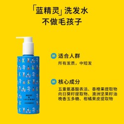 friends大童洁净柔顺洗发水儿童洗发露护发氨基酸洗发水300g