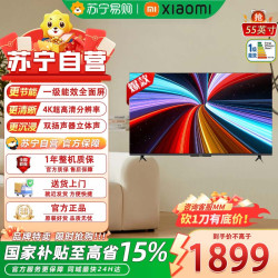 小米 电视REDMI A55 2025节能版-L55RB-RAE