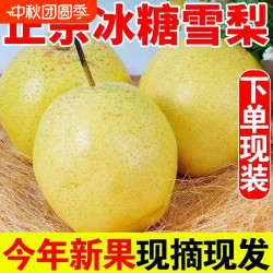 农果淳 正宗山西特产雪花梨9斤整箱新鲜水果水晶梨冰糖雪梨产地直发现摘