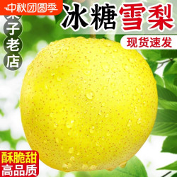 福意鲜 山西新鲜雪梨脆甜多汁细腻无渣5斤包邮优选冰糖雪梨优选大果无渣
