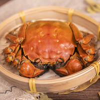 阳澄逍遥 大闸蟹 全母蟹3.0-3.3两 8只装