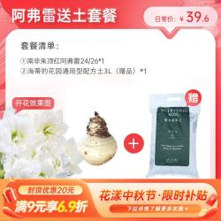 海蒂的花园 旗舰店南非朱顶红进口重瓣种球室内阳台球根花卉 阿弗雷送土套餐 12+