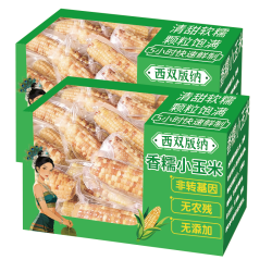 傣小糯 西双版纳糯玉米甜糯软糯新鲜现摘真空包装早餐即食代餐包谷玉米棒