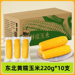 工贝谷 东北黄糯玉米当季新货粗粮主食软糯黄苞米棒低脂饱腹轻食代餐真空