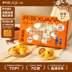 轩妈 蛋黄酥 红豆味 55g*6枚 盒装糕点