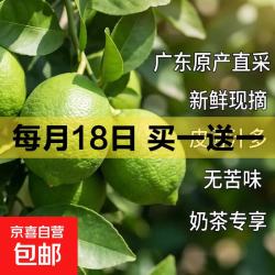 广东香水柠檬包邮新鲜水果柠檬精选皮薄奶茶店 香水柠檬6粒装  单果净重70g+