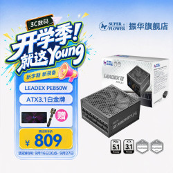 振华 LEADEX PE850W 白金全模组 ATX3.1 850W电脑电源