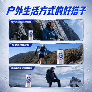 雪花 勇闯天涯超干生啤 500ml*12罐 啤酒