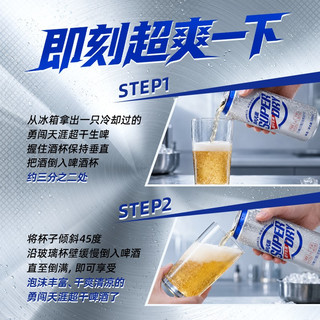 雪花 勇闯天涯超干生啤 500ml*12罐 啤酒