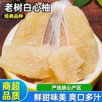 柚子 正宗福建白心蜜柚大蜜柚薄皮白心柚子白肉蜜柚当季新鲜水果批发