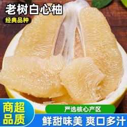 柚子 正宗福建白心蜜柚大蜜柚薄皮白心柚子白肉蜜柚当季新鲜水果批发