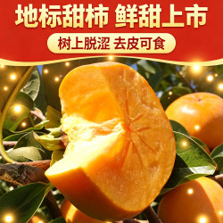 滇老头 云南甜脆柿子新鲜冰糖心脆甜柿子保山苹果脆柿台湾苹果柿1-8斤