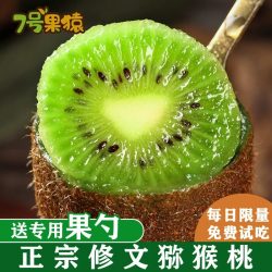 7号果猿 正宗贵州修文猕猴桃新鲜绿心水果奇异果当季大果礼盒B