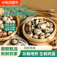 移动端：奇香嘉 鹌鹑蛋新鲜农家自产特产批发杂粮喂养散养宝宝辅食多规格