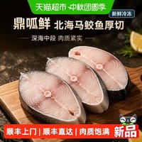 88VIP：鼎呱鲜 北海马鲛鱼切片新鲜冷冻厚鱼排深海鱼中段500g*2袋马鲛鱼扒