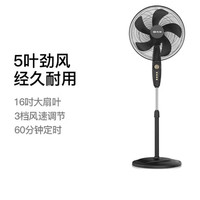 先锋 电风扇家用立式正品工业扇摇头定时机械式落地扇 FS40-21B黑