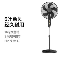 先锋 电风扇家用立式正品工业扇摇头定时机械式落地扇 FS40-21B黑
