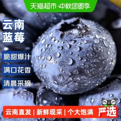 寻天果蔬 云南蓝莓正宗国产新鲜蓝莓王巨无霸当季水果自带花香整箱大果