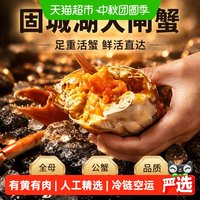 88VIP：渔传播 固城湖大闸蟹足重活蟹全母2两*8只