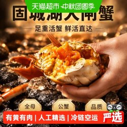 渔传播 固城湖大闸蟹足重活蟹全母2两*8只