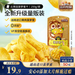 三只松鼠 菠萝蜜干 250g