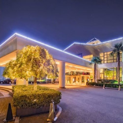 南京湖滨金陵饭店榻榻米主题大床房1晚