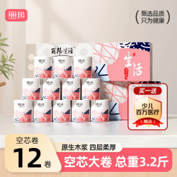 丽邦 5层无芯 卷纸  4层 133g