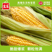 佳农 宝菜 玉米新鲜黄甜玉米云南带皮水果玉米棒低脂减肥早餐 颗粒饱满 净重3斤（约2-4根）