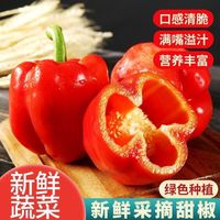 龙马鲜生 寿光彩椒 新鲜红黄五彩甜椒