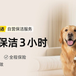 3小时日常保洁·养宠版（不含擦窗）