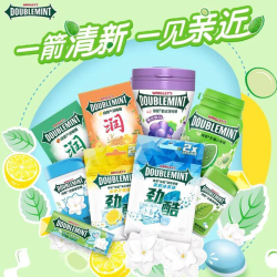 绿箭 无糖薄荷糖组合
