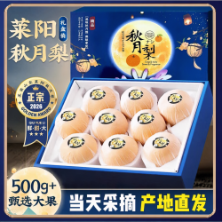 三萌果蔬 山东秋月梨5斤严选果净4.5斤