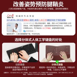 航世 BOW航世 三模无线人体工学键盘鼠标男女生办公蓝牙键鼠套装静音