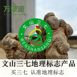 万草源三七头20头云南文山田七片无剪口滑头非野生可磨粉正品500g