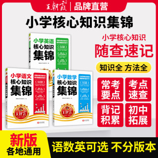 王朝霞核心知识集锦新版小学语文数学英语知识点总结归纳各地通用