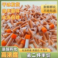 冰冻丰年虾幼虫新鲜免孵化超浓无水小型鱼苗开口孔雀鱼丰年虾虾卵