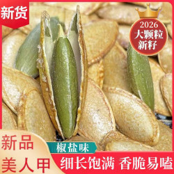 憨豆熊 天山雪籽长粒易嗑香脆新疆特产坚果炒货500g