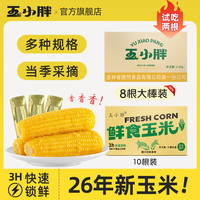 玉小胖 吉林四平玉米黄糯玉米净重2.5kg整箱8/10根