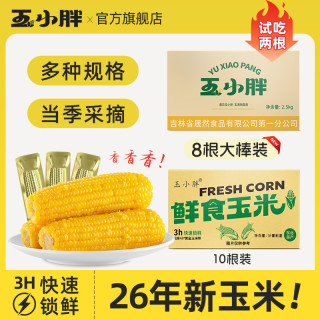 玉小胖 吉林四平玉米黄糯玉米净重2.5kg整箱8/10根
