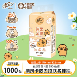 清风 挂式抽纸卡皮巴拉挂抽家用面巾纸4层加厚250抽纸宿舍卧室纸巾