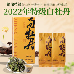 郑莲英 茶叶2022年特级白牡丹福鼎白茶袋装品鉴装10g