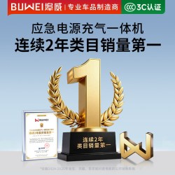 埠威 BUWEI车载充气泵应急启动电源便携式充气宝打气泵电动打气筒