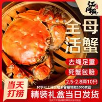 江问鱼 大闸蟹全母2.5两-2.8两 10只装 鲜活螃蟹生鲜中秋礼盒过节送礼