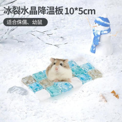 兔子降温用品夏天散热板水晶冰垫仓鼠凉席铝板冰床金丝熊消暑用品