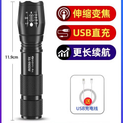 神鱼 1005S 便携版 强光单锂电手电筒 黑色 350流明