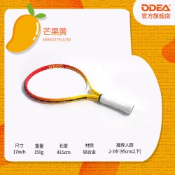 欧帝尔 r r儿童网球拍小幼少儿青少年全年龄段初学分体训练拍